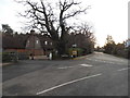 Sutton Green Road at the junction of New Lane