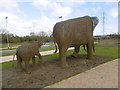 Elephants at Ebbsfleet Valley