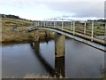 NU0401 : Footbridge over the River Coquet by Russel Wills