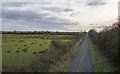 Railway line near Aldergrove