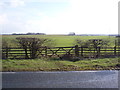 Field entrance off National Cycle Route 1