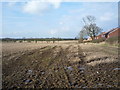 Stubble field west of National Cycle Route 1 