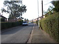 Rockley Drive - Cubley Avenue