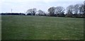 Farmland near Poynton