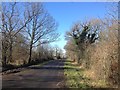 NY1632 : Lane near Setmurthy Common by Richard Thomas