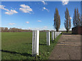 Poplars and Posts, Hackney Marsh