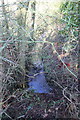 Ditch beside Wroslyn Road at junction with Cuckoo Lane