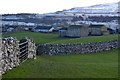 Field and walls at Aysgarth