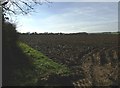 Field to the north of Salmonby