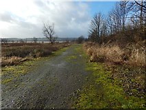 NS4274 : Path near the shore at Milton by Lairich Rig
