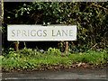 Spriggs Lane sign