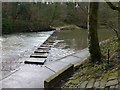 Stepping stones at Humford Mill