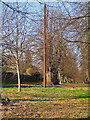 Curious metal pole, Lime Tree Avenue