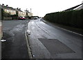 Houses and hedge, Aneurin Crescent, Brynmawr