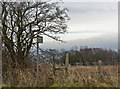 A stile and footpath above Blackleach