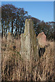 Castle Fraser Recumbent Stone Circle (7)