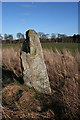 NJ7112 : Castle Fraser Recumbent Stone Circle (7) by Anne Burgess