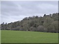 Grassland and woodland by Durweston Bridge