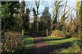 Footpath in Park Redding