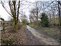 Footpath at Micklehurst