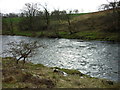 Turbulent water (River Wharfe)