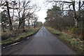 Long Straight Minor Road at Fortry Wood