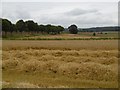 Harvest, Ruthven