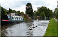 The Coventry Canal in Tamworth