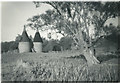 1965 oast houses near Appledore