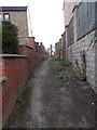 Footpath - Netherton Lane