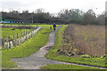 Larks Hill Country Park, Bracknell