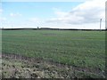 Farmland below Cow Close Hill