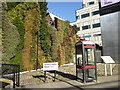 TQ2781 : Green wall beside the Marylebone flyover by Rod Allday