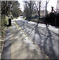 Tree shadows on Church Road, Johnston