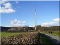 Looking north from Brill