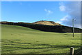 Farmland at Traboyack Wood