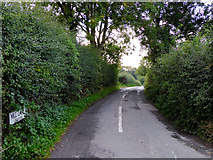 SJ6542 : Mill Lane south of Audlem, Cheshire by Roger  D Kidd