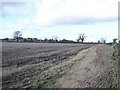 Stubble field east of Thornborough