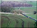 SK1654 : Ruined sheepfold by Ian Calderwood