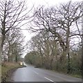 Swanage Road, west of Studland