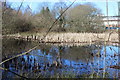 Pond, Valentec Nature Reserve