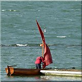 SK9205 : Dinghy sailor on Rutland Water by Alan Murray-Rust