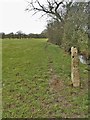 Old stone gatepost