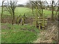 Stile and footbridge