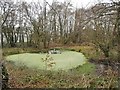 A pond on the industrial estate