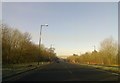 A2220 approaching Buchan Country Park