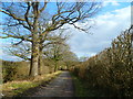 Bridleway going east from Rusper Road