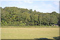 View towards Ashford Rd