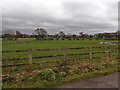 Farmland behind Brindle Road