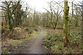 Woodland Path to Newton Stewart